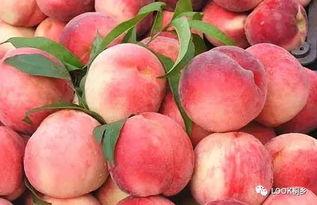 国产丨蜜桃 精品入口